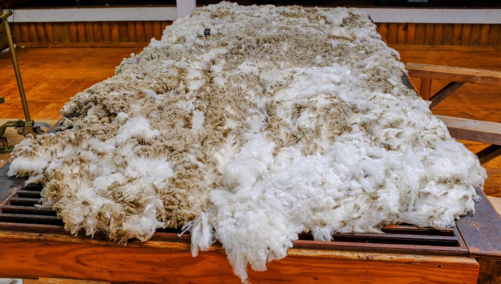 Why merino wool is a magical material – Commonplays